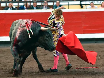 El diestro Juan Leal da un pase a su primer toro de la novena y última corrida de abono de la Aste Nagusia de Bilbao El diestro Juan Leal da un pase a su primer toro de la novena y última corrida de abono de la Aste Nagusia de Bilbao