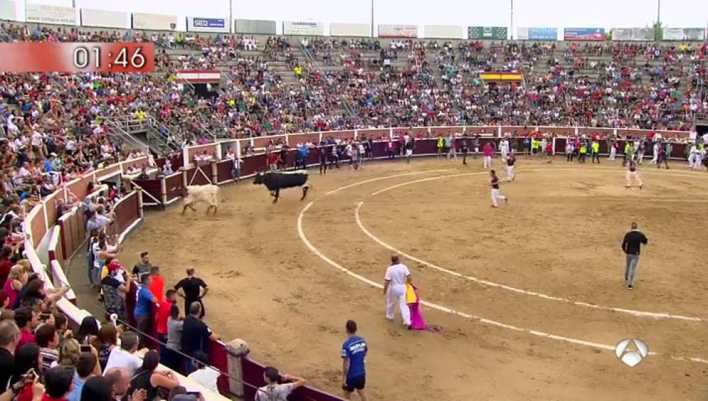 El ganadero Alejandro Talavante debuta con sus toros en los encierros de Sanse 2017
