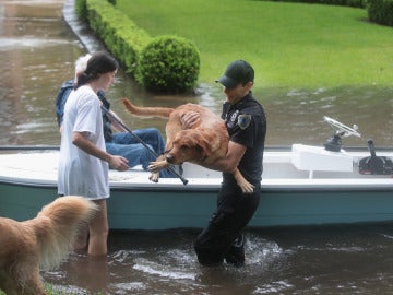 Inundaciones a causa de la tormenta tropical 'Harvey'