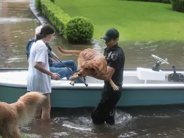 Inundaciones a causa de la tormenta tropical 'Harvey' Inundaciones a causa de la tormenta tropical 'Harvey'