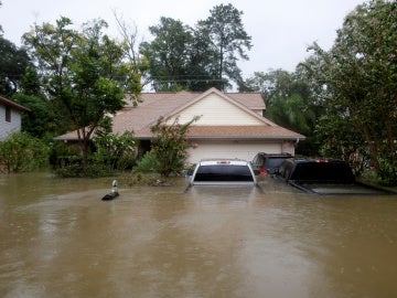 Casas y coches parcialmente sumergidos por las aguas a causa de la tormenta tropical Harvey en el este de Houston, Texas