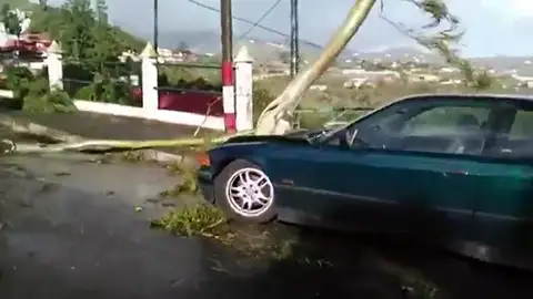 Los seguros pueden afrontar las pérdidas por un robo o provocadas por tormentas Los seguros pueden afrontar las pérdidas por un robo o provocadas por tormentas