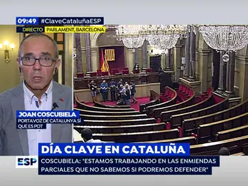 COSCUBIELA COSCUBIELA