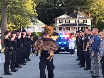 El homenaje que el cuerpo de policía de Connecticut realiza a un perro policía El homenaje que el cuerpo de policía de Connecticut realiza a un perro policía
