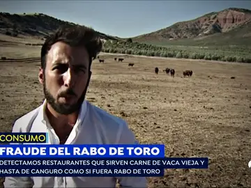 EP rabo de toro EP rabo de toro