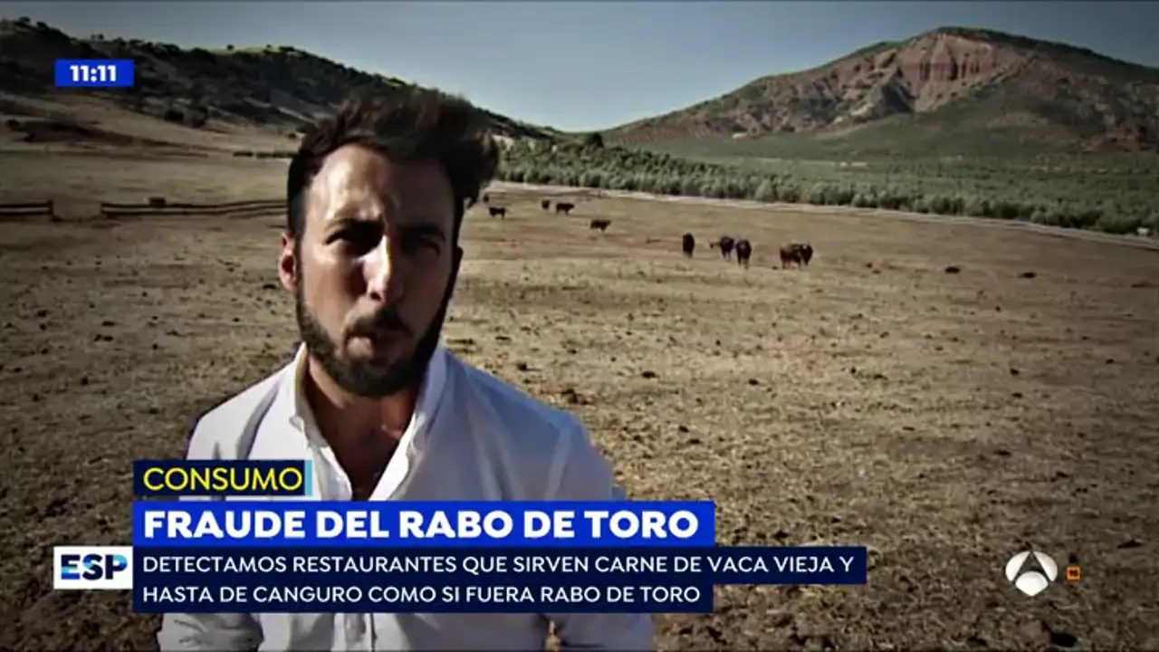 ¿Carne de canguro o rabo de toro?