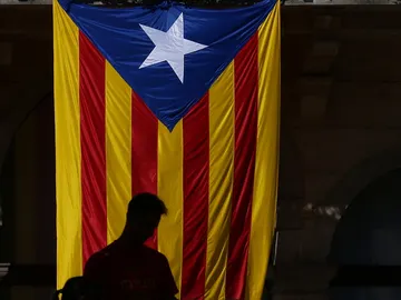 Bandera estelada Bandera estelada