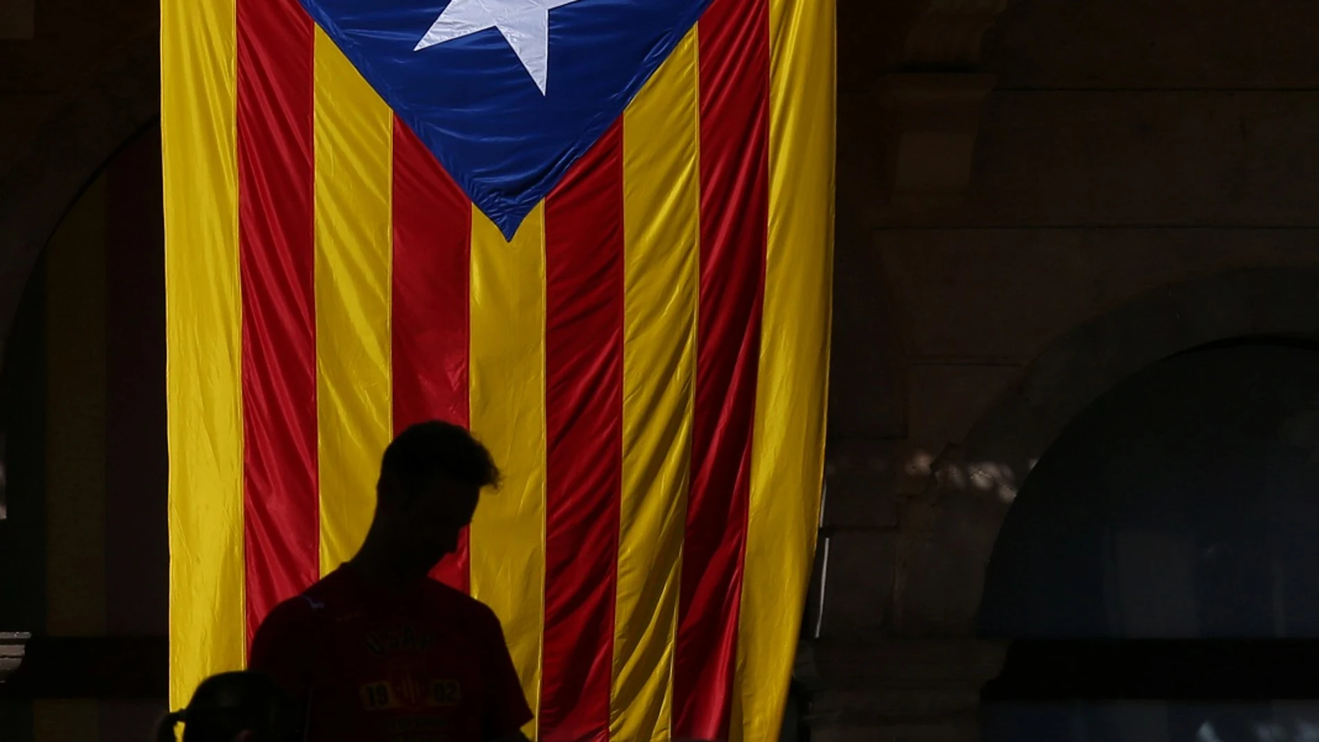 Bandera estelada Bandera estelada