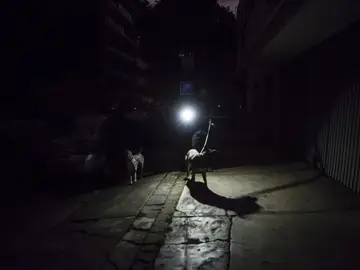 La gente fuera de sus casas en la Colonia Condesa, México La gente fuera de sus casas en la Colonia Condesa, México