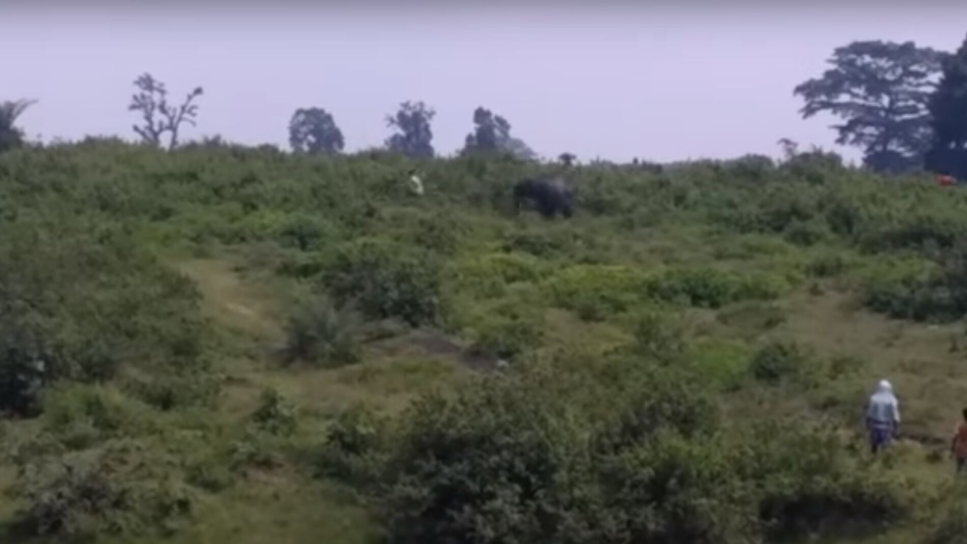 Captura del elefante persiguiendo a un ciudadano indio