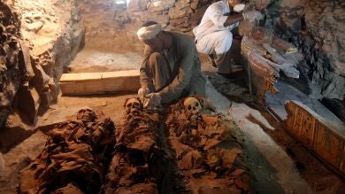 Dos talleres de embalsamiento y dos tumbas de los reinos Antiguo y Nuevo en Egipto, al descubierto