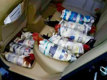 Pollos envueltos en papel de periódico Pollos envueltos en papel de periódico
