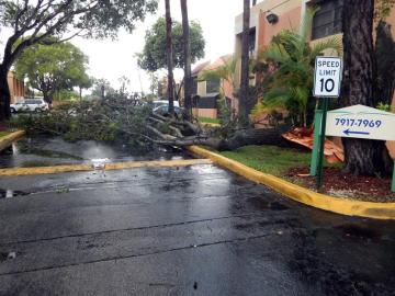El huracán Irma llega a Florida