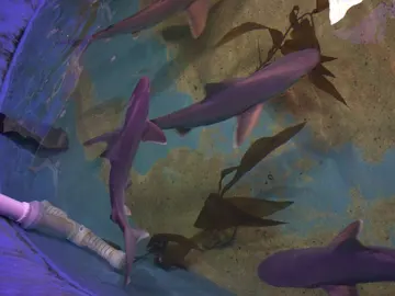 Tiburones en una casa de Nueva York Tiburones en una casa de Nueva York