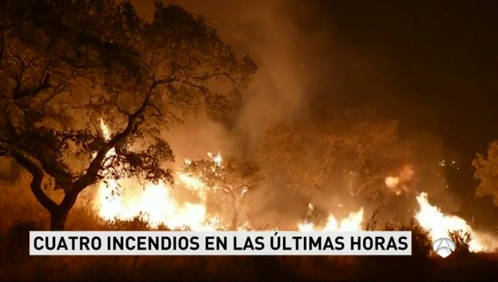 Los bomberos siguen refrescando La Granada de Riotinto después de el fuego arrasara un paraje de alto valor ecólogico