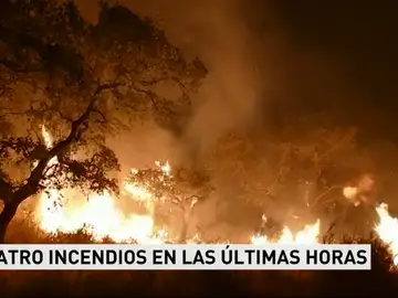 Los bomberos siguen refrescando La Granada de Riotinto después de el fuego arrasara un paraje de alto valor ecólogico Los bomberos siguen refrescando La Granada de Riotinto después de el fuego arrasara un paraje de alto valor ecólogico