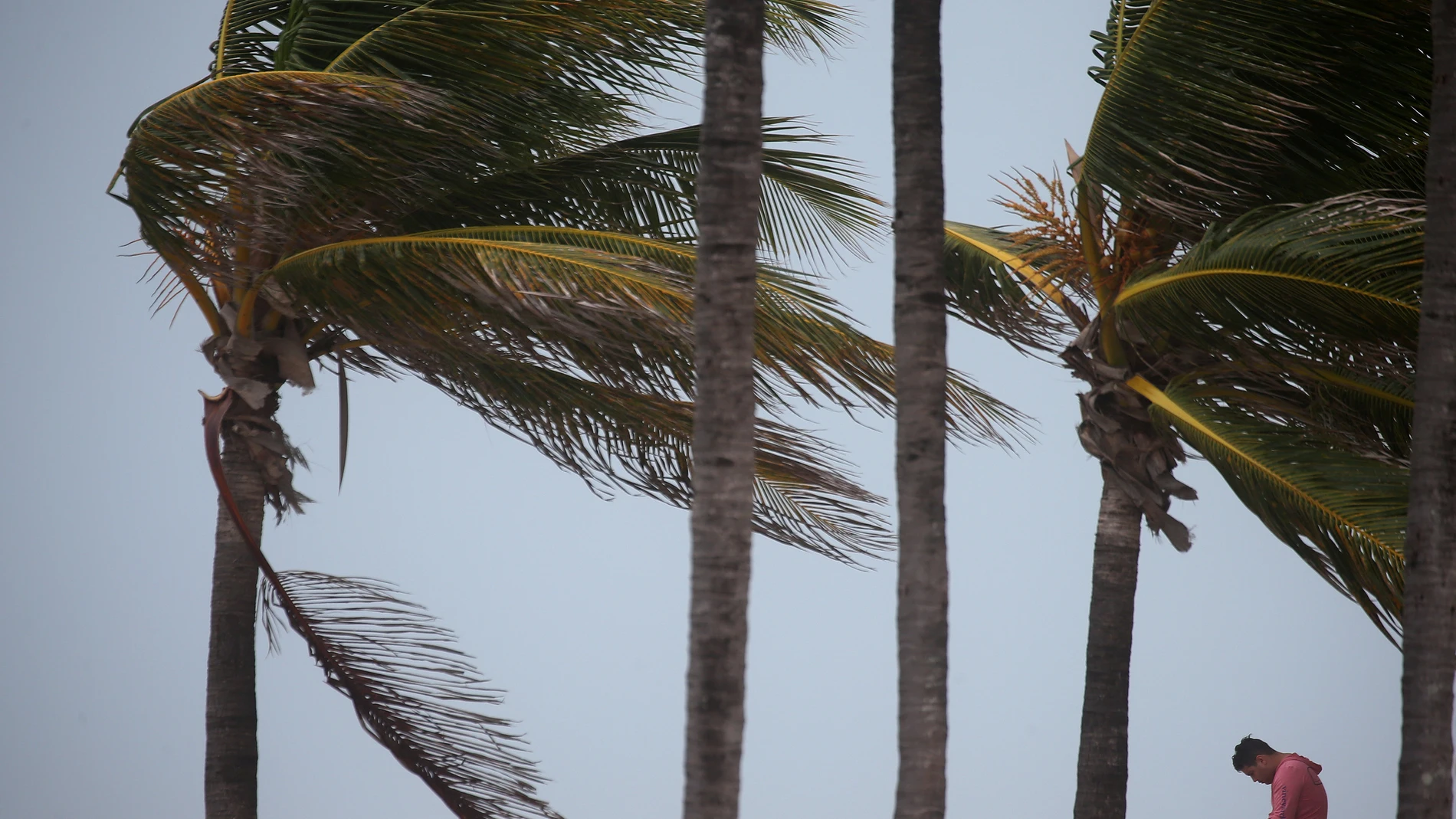 Huracán Irma en Florida Huracán Irma en Florida