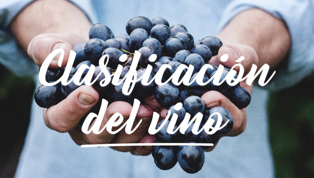 Los vinos por clasificación