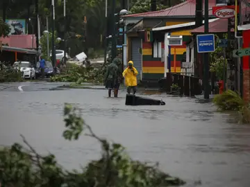 Guadalupe tras el paso del huracán María Guadalupe tras el paso del huracán María