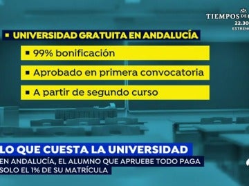 El alumno que apruebe todo en Andalucía pagará el 1% de su matrícula en la universidad