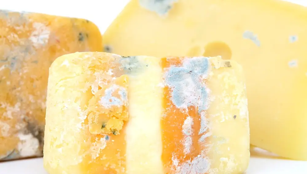 Si el queso tiene moho y es de pasta dura, puedes comerlo.