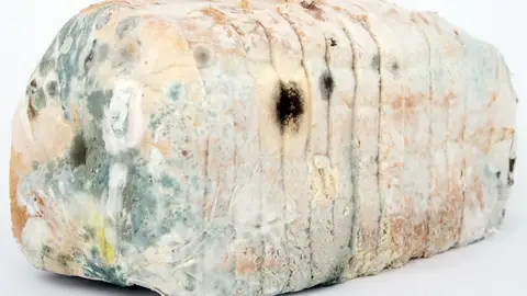 El pan con moho no debe comerse. Que lo se-pas.