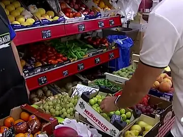 ALIMENTOS ALIMENTOS