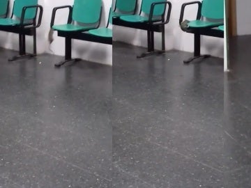 Una rata en el Hospital de la Línea 