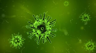 Virus de la gripe