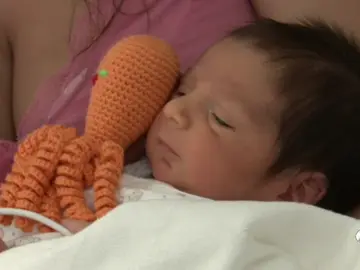 Regalan pulpos de ganchillo en los hospitales para ayudar a los bebés prematuros Regalan pulpos de ganchillo en los hospitales para ayudar a los bebés prematuros