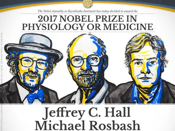 Jeffrey C. Hall, Michael Rosbash y Michael W. Young Jeffrey C. Hall, Michael Rosbash y Michael W. Young