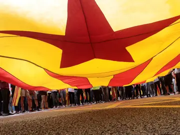 La estelada pasea por las calles de Barcelona La estelada pasea por las calles de Barcelona