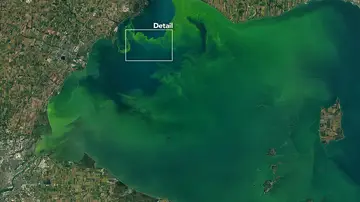 El lago Erie, imagen recogida por el satélite observacional Landsat 8