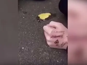 Huevos lanzados por los acosadores Huevos lanzados por los acosadores
