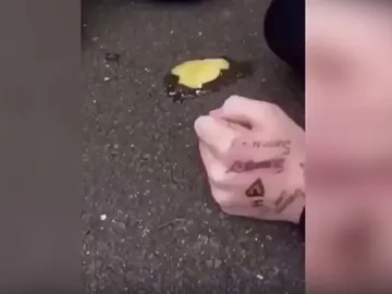 Huevos lanzados por los acosadores Huevos lanzados por los acosadores