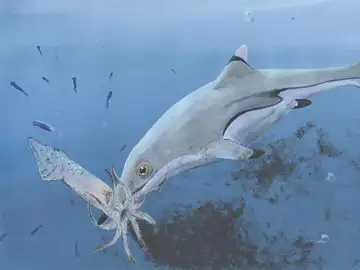 Ictiosaurio devorando un calamar Ictiosaurio devorando un calamar