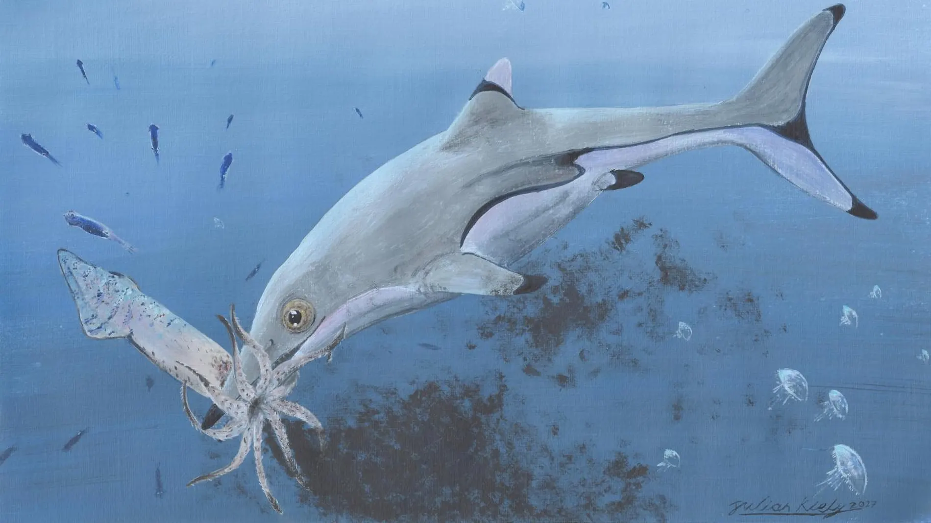 Ictiosaurio devorando un calamar Ictiosaurio devorando un calamar