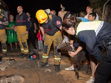 La cabra, minutos después del rescate La cabra, minutos después del rescate
