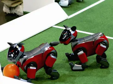 Robots mascota juegan con una pelota Robots mascota juegan con una pelota