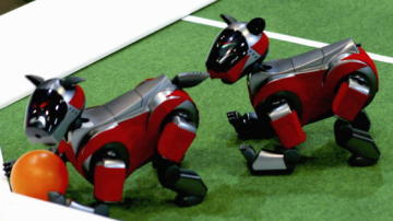 Robots mascota juegan con una pelota