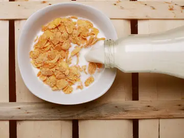 Cereales con leche Cereales con leche
