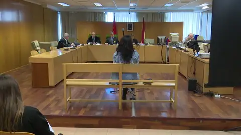 Una activista de Femen acepta un año de cárcel por atentar contra el exministro Fernández Díaz Una activista de Femen acepta un año de cárcel por atentar contra el exministro Fernández Díaz