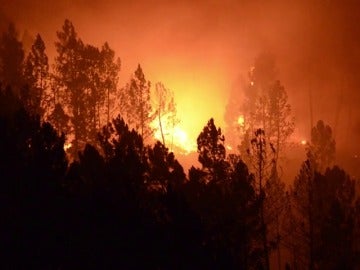 Tres incendios en el parque natural del Xurés en Lobios han quemado casi 400 hectáreas 