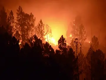Tres incendios en el parque natural del Xurés en Lobios han quemado casi 400 hectáreas Tres incendios en el parque natural del Xurés en Lobios han quemado casi 400 hectáreas