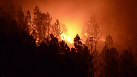 Tres incendios en el parque natural del Xurés en Lobios han quemado casi 400 hectáreas 