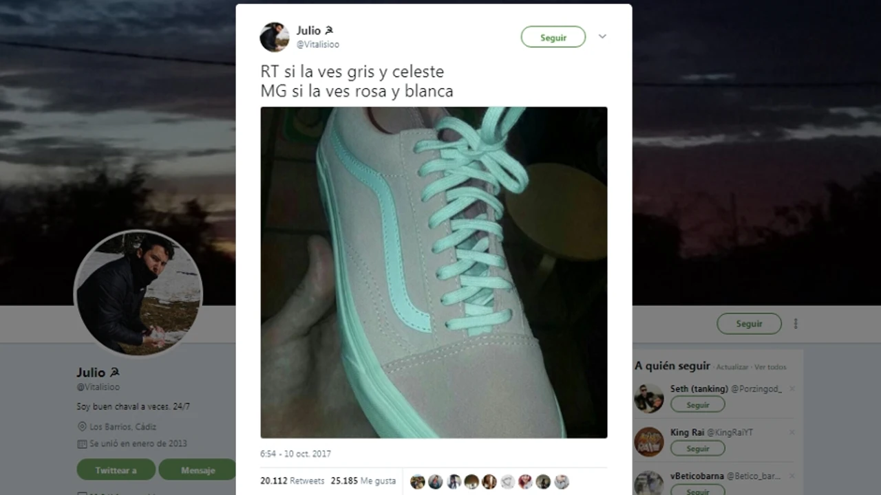 Desafío viral: ¿de qué color esta zapatilla?