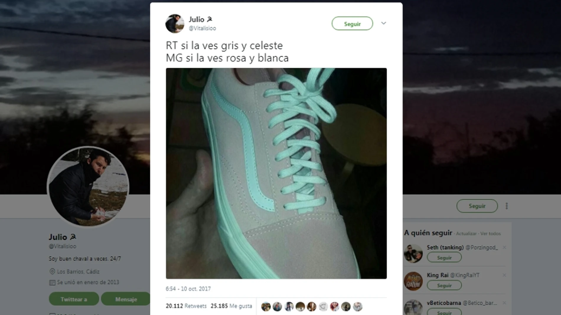 ¿De qué color ves estas zapatillas? ¿De qué color ves estas zapatillas?