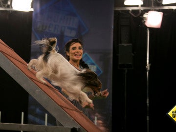 Pilar Rubio supera un nuevo reto en 'El Hormiguero 3.0' con la ayuda de la perrita Audrey