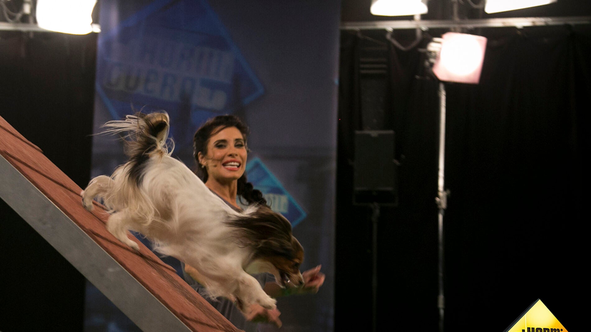 Pilar Rubio supera un nuevo reto en 'El Hormiguero 3.0' con la ayuda de la perrita Audrey