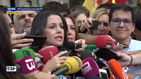 ARRIMADAS ARRIMADAS